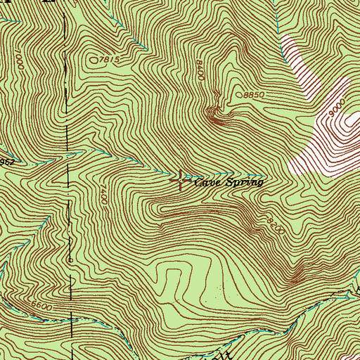 Topographic Map of Cave Spring, NM