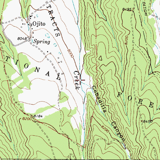 Topographic Map of Cebadilla Canyon, NM