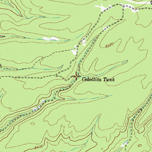 Topographic Map of Cebollita Tank, NM
