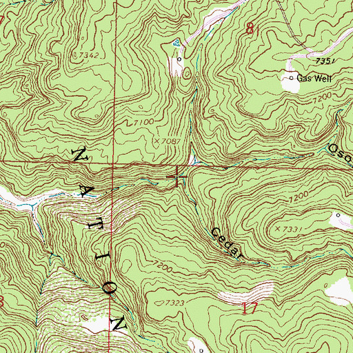 Topographic Map of Cedar Canyon, NM