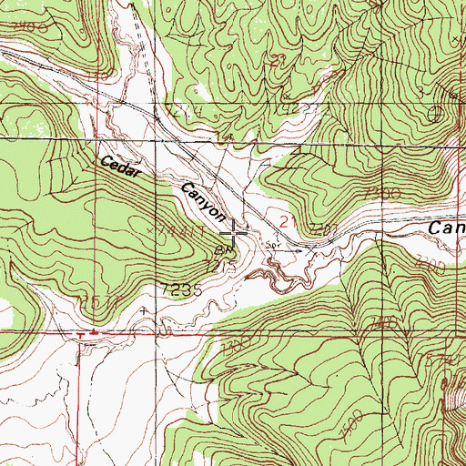 Topographic Map of Cedar Canyon, NM