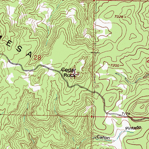 Topographic Map of Cedar Rock, NM
