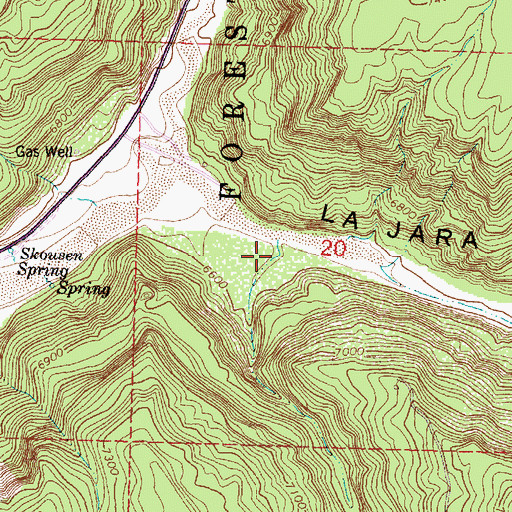 Topographic Map of Cedar Spring Canyon, NM