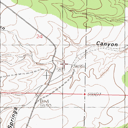 Topographic Map of Cedar Springs Canyon, NM