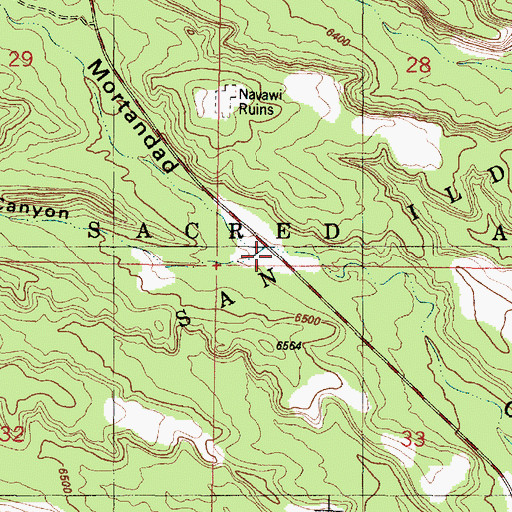Topographic Map of Cedro Canyon, NM