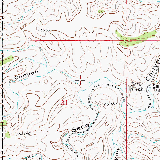 Topographic Map of Cement Canyon, NM