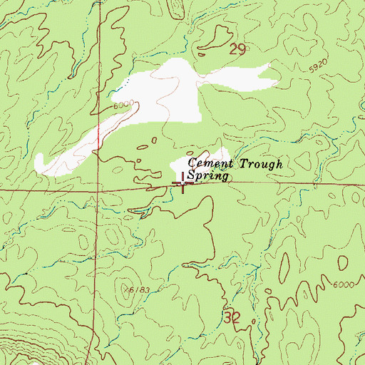 Topographic Map of Cement Trough Spring, NM