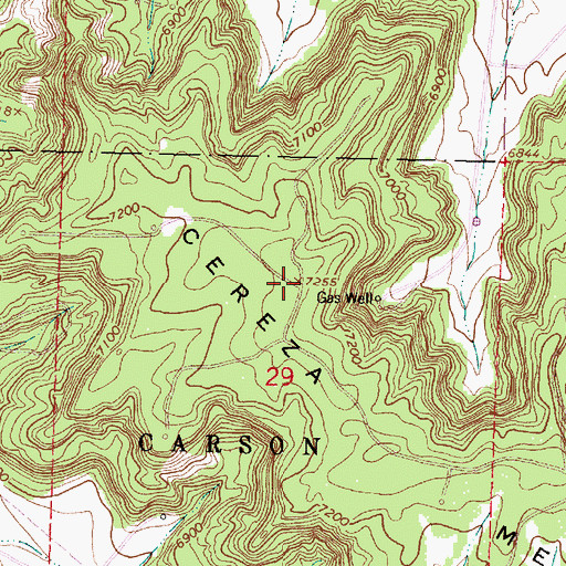 Topographic Map of Cereza Mesa, NM