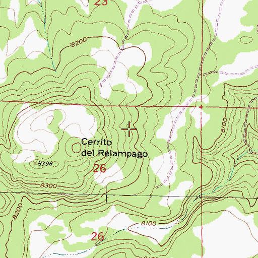 Topographic Map of Cerrito del Relampago, NM