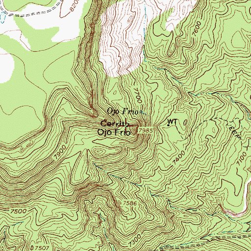 Topographic Map of Cerrito Ojo Frio, NM