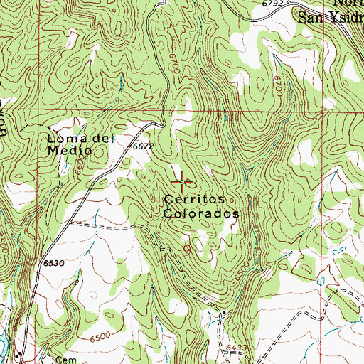Topographic Map of Cerritos Colorados, NM