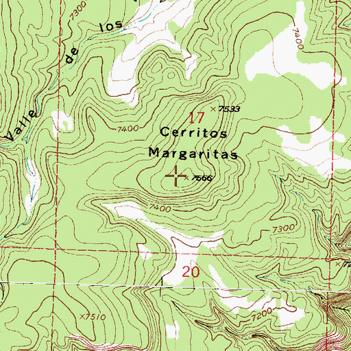 Topographic Map of Cerritos Margaritas, NM