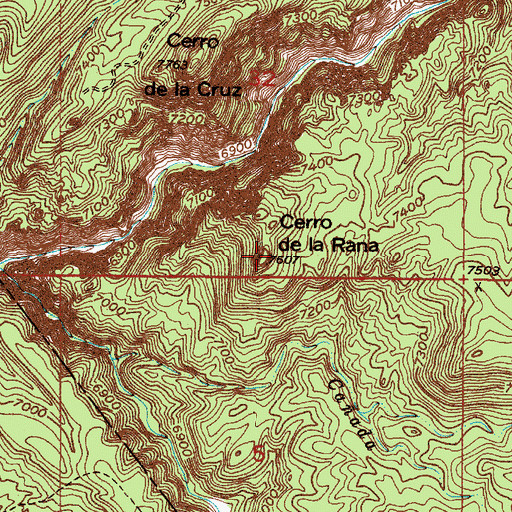 Topographic Map of Cerro de la Rana, NM
