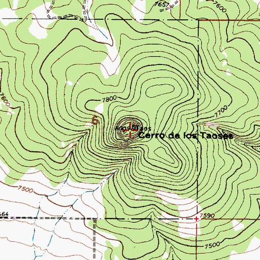 Topographic Map of Cerro de los Taoses, NM