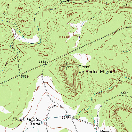 Topographic Map of Cerro de Pedro Miguel, NM