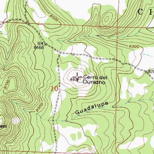 Topographic Map of Cerro del Durazno, NM