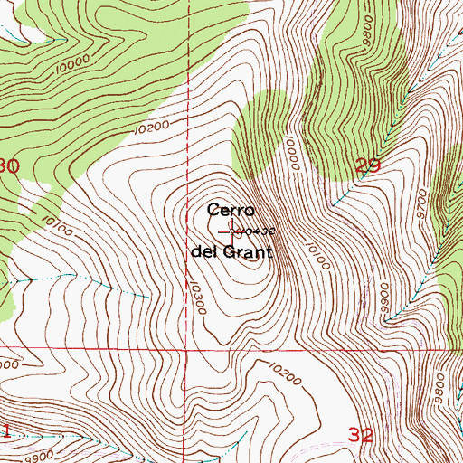 Topographic Map of Cerro del Grant, NM