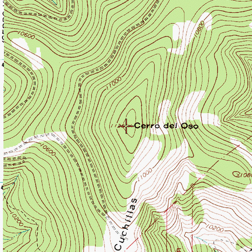 Topographic Map of Cerro del Oso, NM