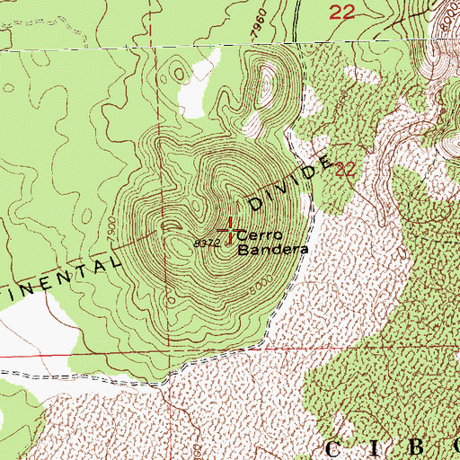 Topographic Map of Cerro Bandera, NM