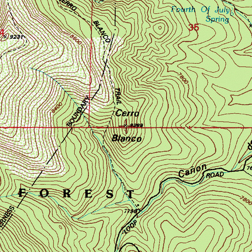 Topographic Map of Cerro Blanco, NM