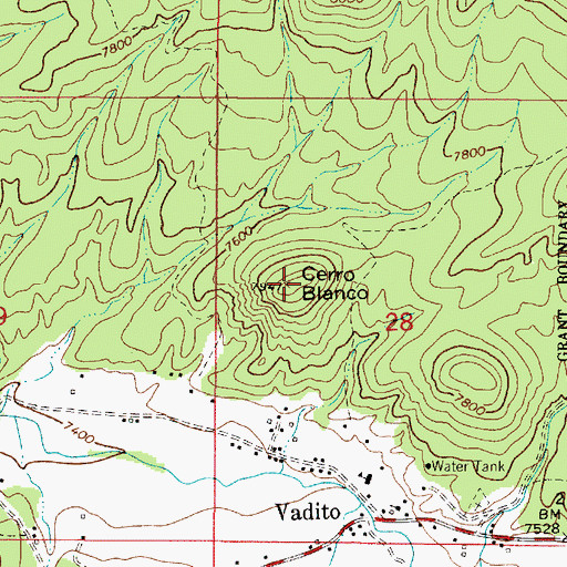Topographic Map of Cerro Blanco, NM