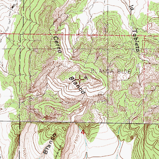Topographic Map of Cerro Blanco, NM