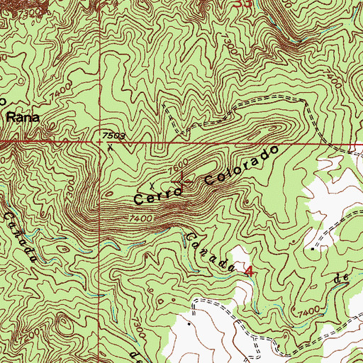Topographic Map of Cerro Colorado, NM