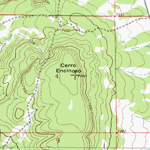 Topographic Map of Cerro Encinoso, NM