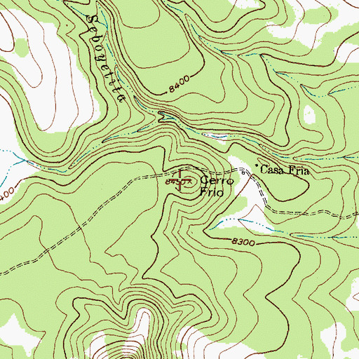 Topographic Map of Cerro Frio, NM