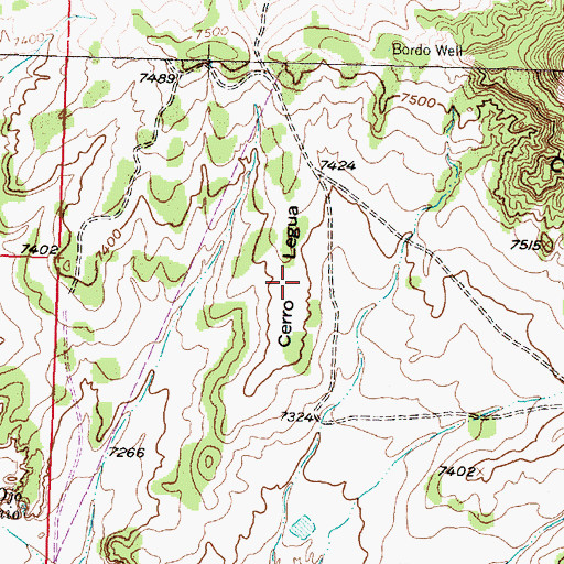 Topographic Map of Cerro Legua, NM
