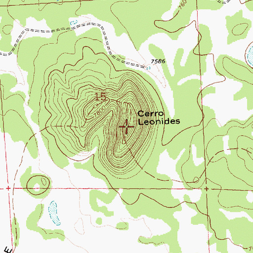Topographic Map of Cerro Leonides, NM