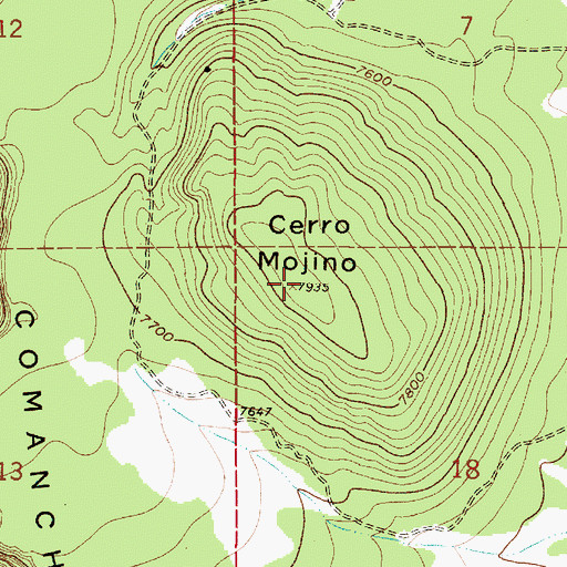 Topographic Map of Cerro Mojino, NM