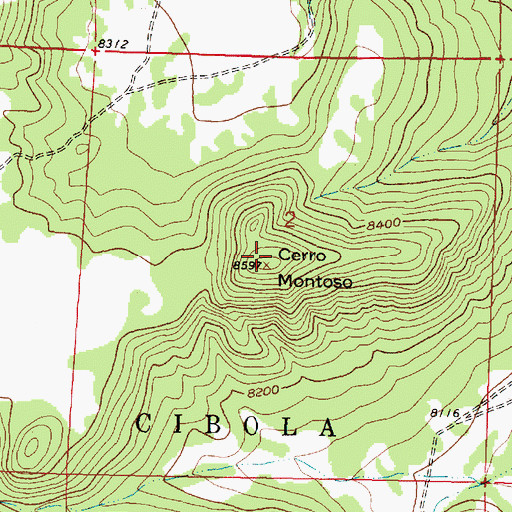 Topographic Map of Cerro Montoso, NM