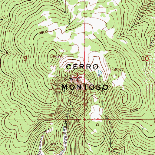 Topographic Map of Cerro Montoso, NM