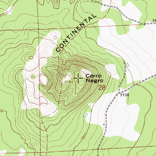 Topographic Map of Cerro Negro, NM