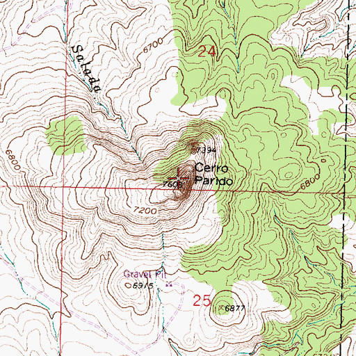 Topographic Map of Cerro Parido, NM