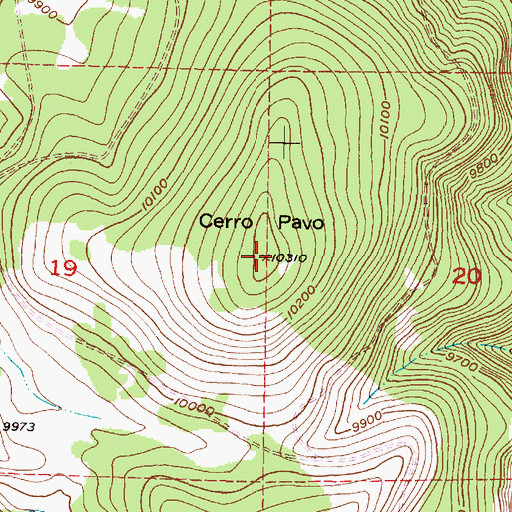 Topographic Map of Cerro Pavo, NM