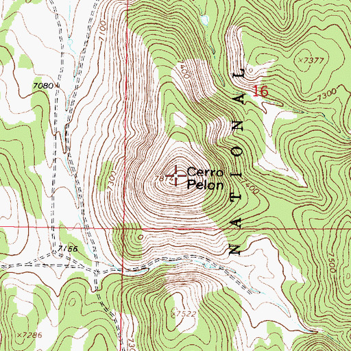 Topographic Map of Cerro Pelon, NM