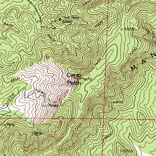Topographic Map of Cerro Pelon, NM