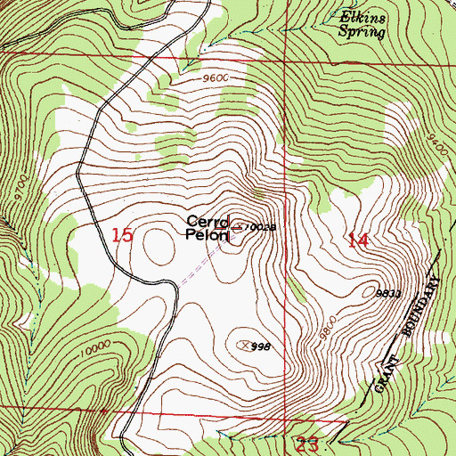 Topographic Map of Cerro Pelon, NM