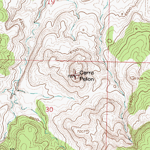 Topographic Map of Cerro Pelon, NM