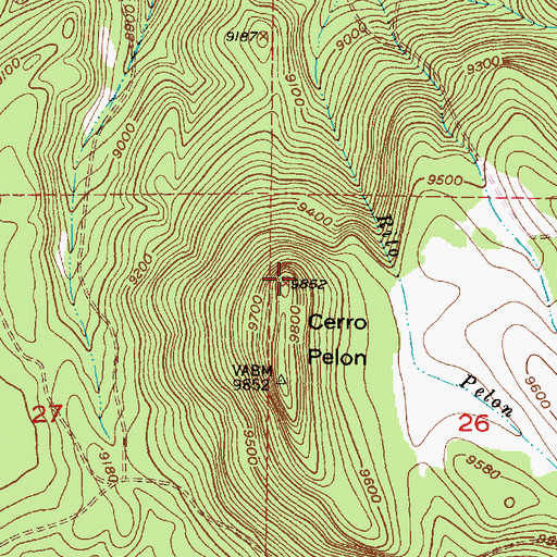 Topographic Map of Cerro Pelon, NM