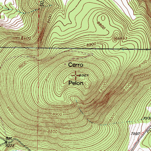 Topographic Map of Cerro Pelon, NM