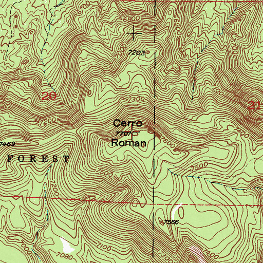 Topographic Map of Cerro Roman, NM