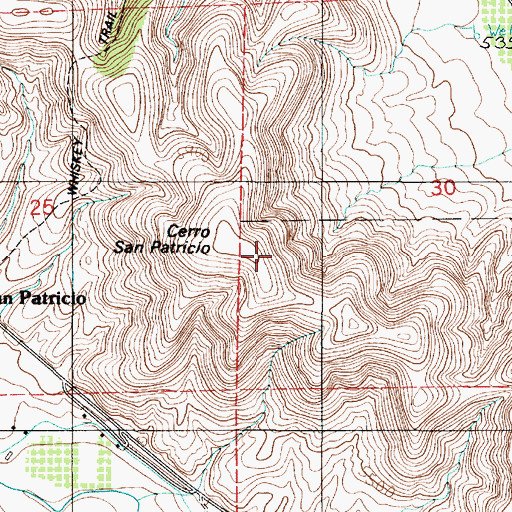 Topographic Map of Cerro San Patricio, NM