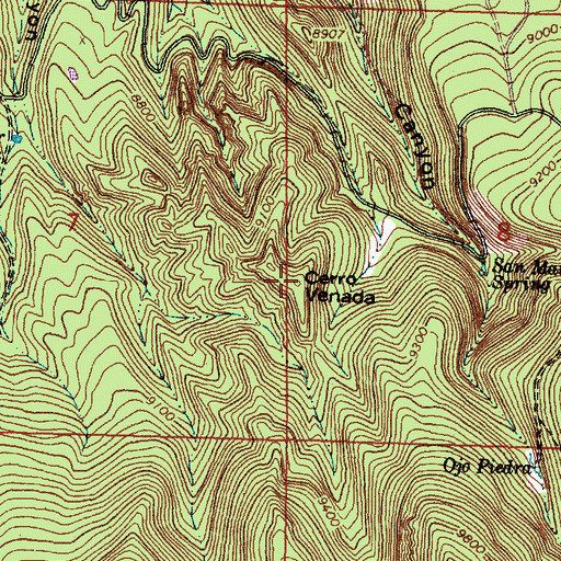 Topographic Map of Cerro Venada, NM