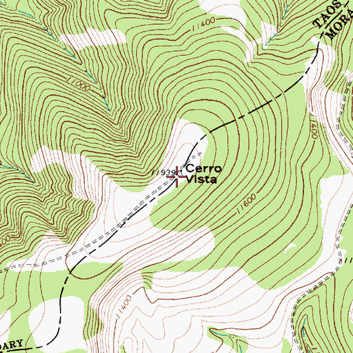 Topographic Map of Cerro Vista, NM