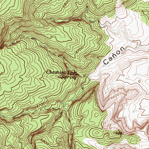 Topographic Map of Chamisa Losa Spring, NM