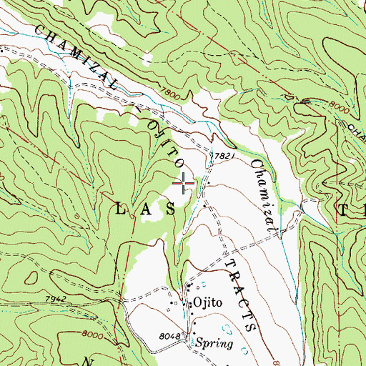 Topographic Map of Chamizal -Ojito Tracts, NM