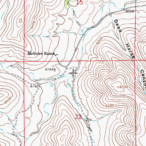 Topographic Map of Champion Canyon, NM
